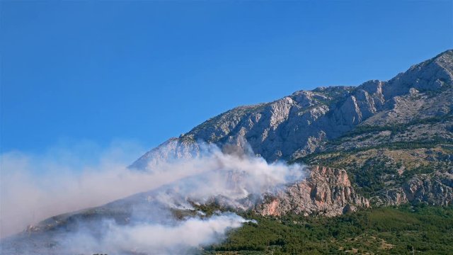 Large forest fire burning on sunny day below mountain Biokovo in Croatia