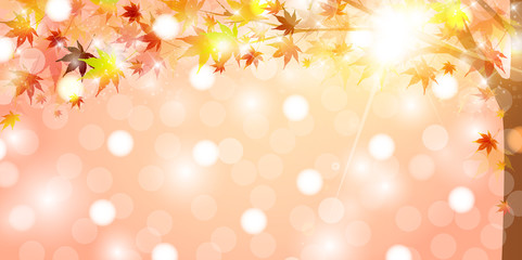 Fototapeta premium 紅葉 秋 風景 背景