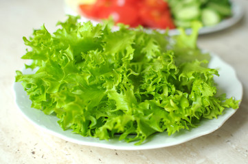 Fresh organic salad frisee and sliced vegetables on the white plates on the wooden table.