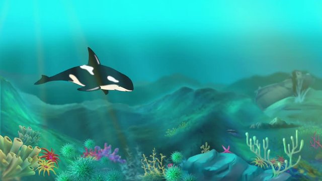 Killer Whale Underwater