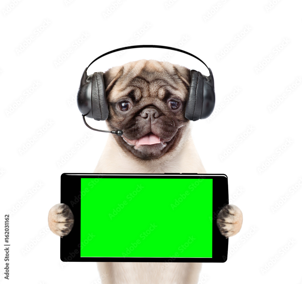 Poster puppy with headset holding smartphone in their paws. isolated on white background