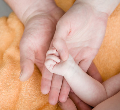 Newborn baby hand in mom's and dad`s hands
