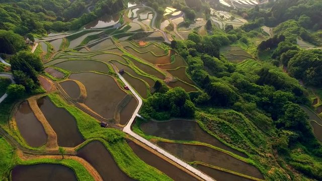 佐渡ヶ島の岩首棚田
