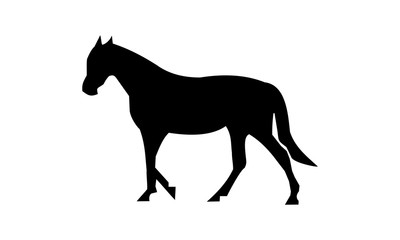 black horse silhouette