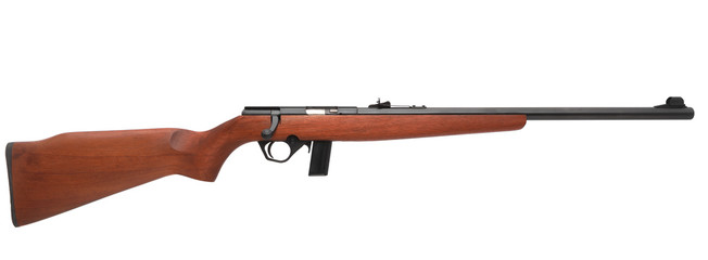 Gun rifle isolated on white