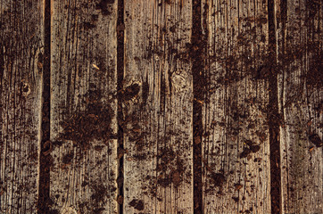 Vintage old wooden planks covered in soil. Gardening background top view with visible texture.