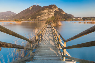 Obraz premium National Reserve of Sebino Peat Bogs of lake Iseo. These peat bog are considered a priority area for biodiversity in the Po Valley in Lombardy, Italy.