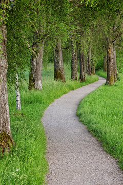 Fu&szlig;weg windet sich entlang von B&auml;umen