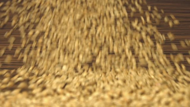Wheat grains on a brown wooden background. 2 Shots. Slow motion. Horizontal pan. Close-up.