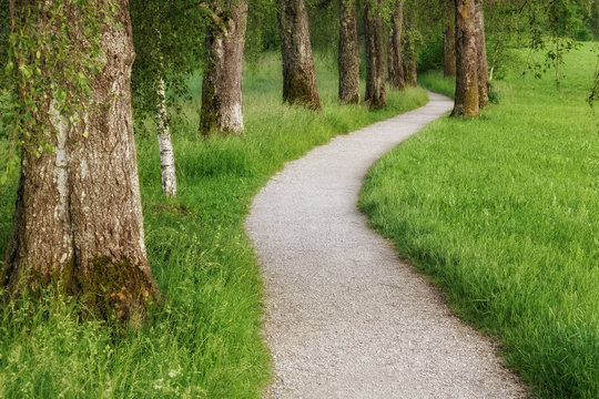 Fu&szlig;weg windet sich entlang von B&auml;umen