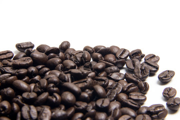 Closeup coffee bean on center of picture white background. copy space