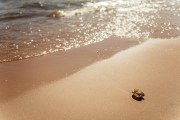 Береговая линия, пляж