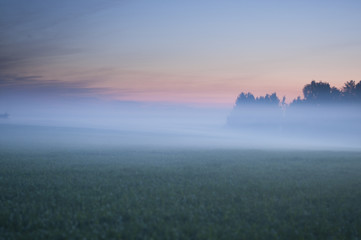 Sunrise Fog