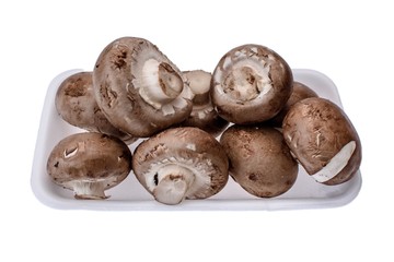 Mushrooms champignons lie on a white tray, isolated on a white background