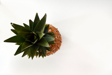 Pineapple overhead shot on white background. Copy space