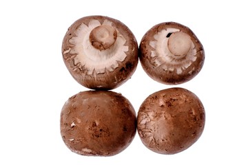Gray mushrooms champignons isolated on a white background
