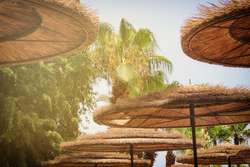 Background of bamboo beach umbrella. Tropical holiday concept