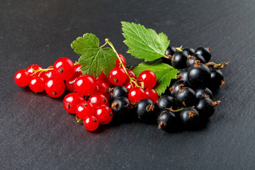 Black and red currant, close up