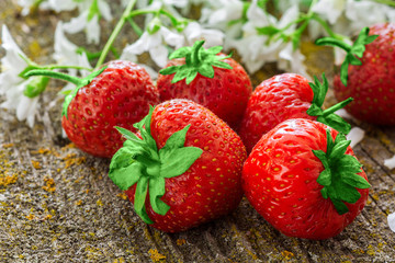 Fresh red strawberry
