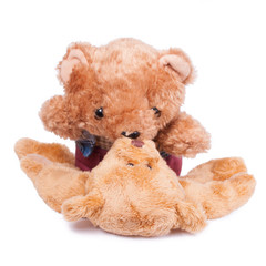 Two cuddly bears kissing. Isolated on white. (1x1).jpg