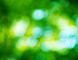 Fototapeta premium Natural blurred background.