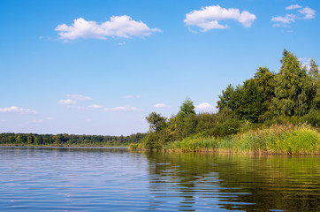 Beautiful summer landscape on the lake, the green grass and blue sky.