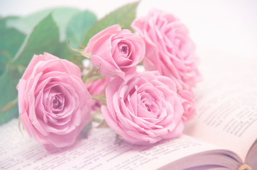 Roses and old book. Toned image