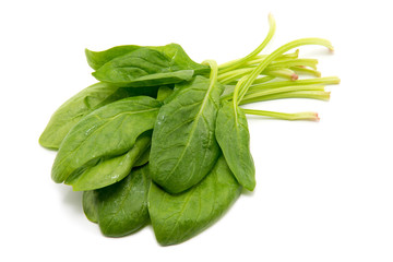 Spinach on a white background
