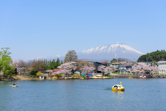 岩手　盛岡　春の高松公園の岩手山