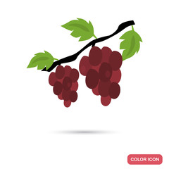 Grapes brunch color flat icon for web and mobile design