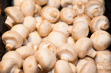 Mushrooms in shop