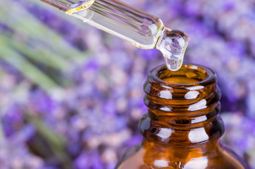 Fototapeta na wymiar Lavender oil or essential oil, natural remedies, aromatherapy, beauty care.
