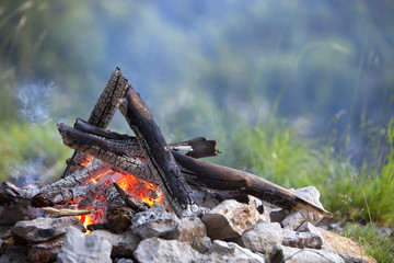 Campfire in the wood at a camping site
