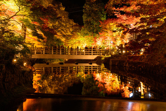 愛知　瀬戸　岩屋堂公園の紅葉ライトアップ