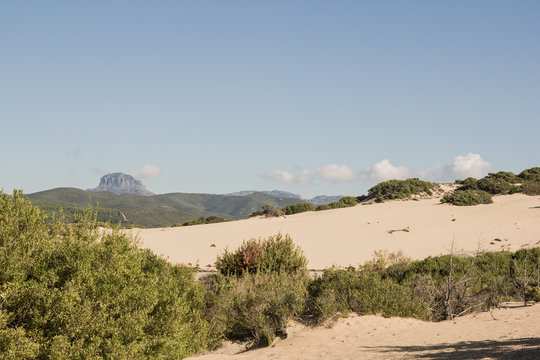 Deserto/spiaggia di Piscinas, dune, Sardegna