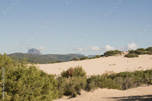 Desertospiaggia Di Piscinas Dune Sardegna Stock Photo