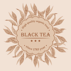 Square vintage background with hand drawn tea leaves and round label. Retro banner in light brown colors. Stock vector illustration.