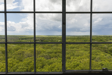 Fire Tower View Of A Forest