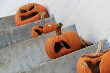 Withered Halloween pumpkins left outside on the stairs. Post euphoria, day after, back to reality...