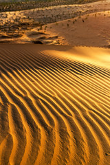 Yellow sandy wavy dunes texture