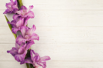 Purple gladiolus on white table - obrazy, fototapety, plakaty
