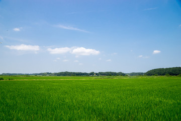 田園風景