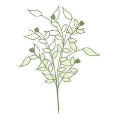 naturals flowers tattoos icon vector illustration design graphic