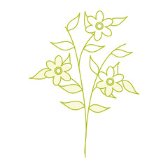 naturals flowers tattoos icon vector illustration design graphic