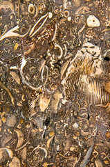 Limestone, Gosau, Austria