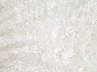 close up view of white fluffy fur