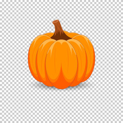Orange pumpkin on a transparent background