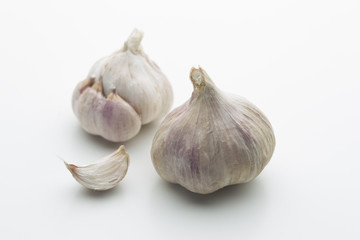 Garlic