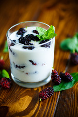 Sweet Greek yogurt with mulberry berries
