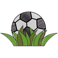 Naklejka premium soccer ball icon over white background colorful design vector illustration